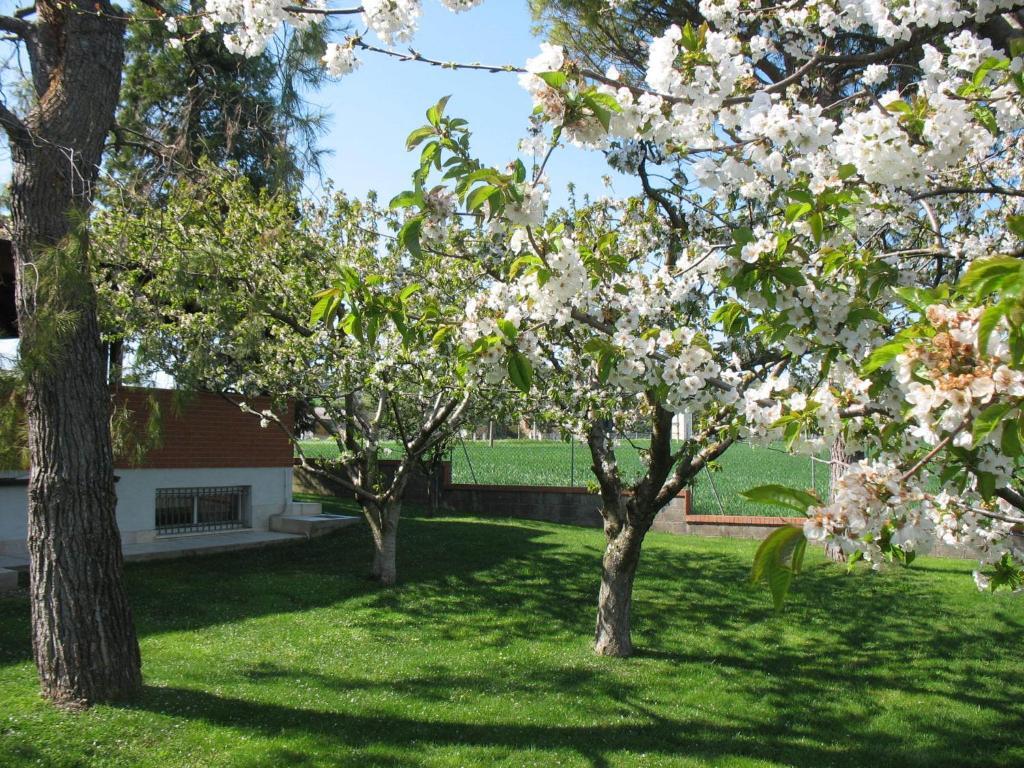 Bed & Breakfast Bompadre Civitanova Marche Buitenkant foto